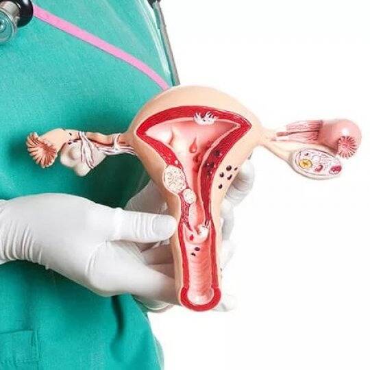 лікар Кабінет Гістероскопії  Свято-Михайлівська клінічна лікарня м Києва: опис, відгуки, послуги, рейтинг, записатися онлайн на сайті h24.ua